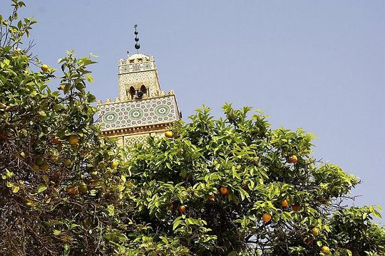 Tour image 13