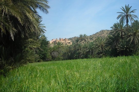 Tour image 13