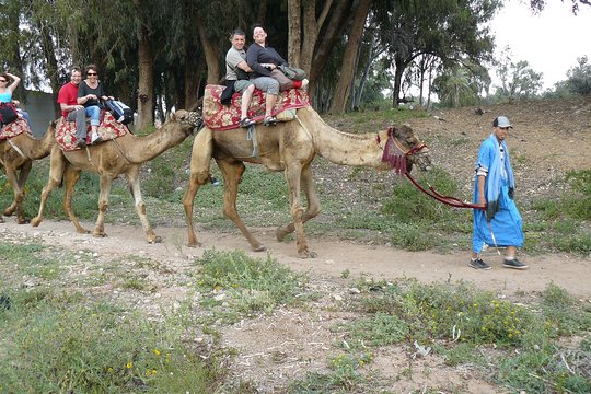 Tour image 7