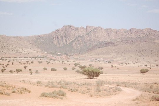 Tour image 11