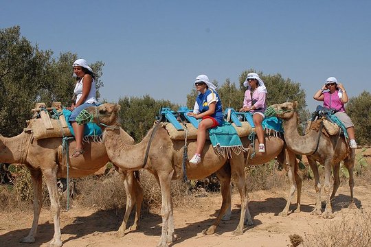 Tour image 2