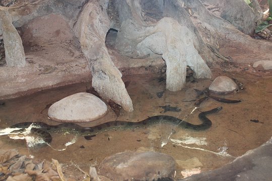 Tour image 14