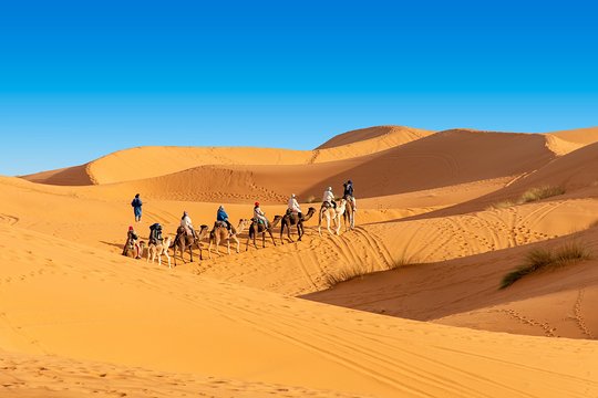 Tour image 6