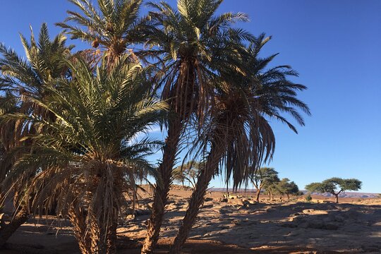 Tour image 5