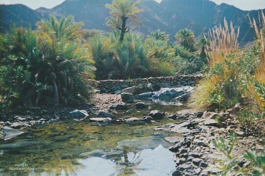 Tour image 5