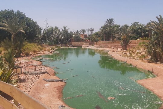 Tour image 4