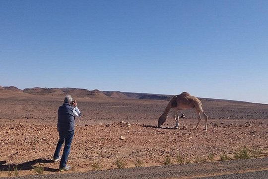 Tour image 10