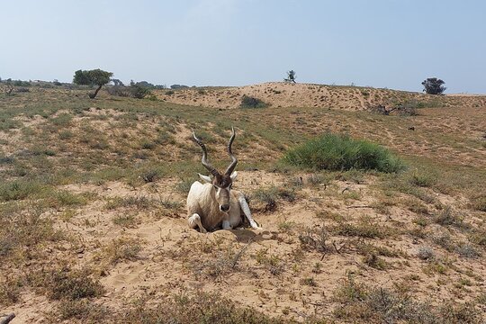 Tour image 10